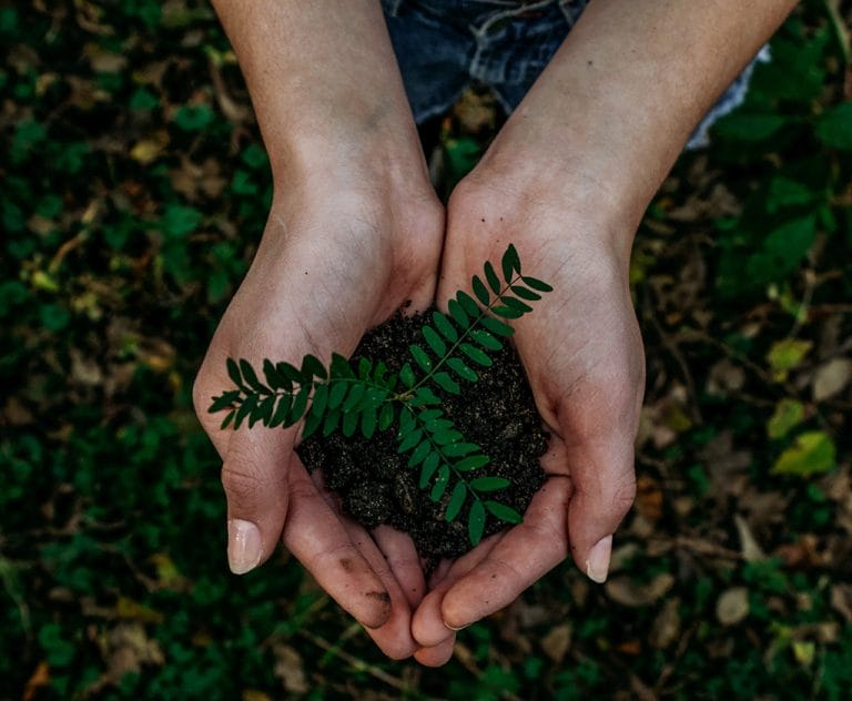 Two female hands holding a small plant_Black-modul_1024x842px