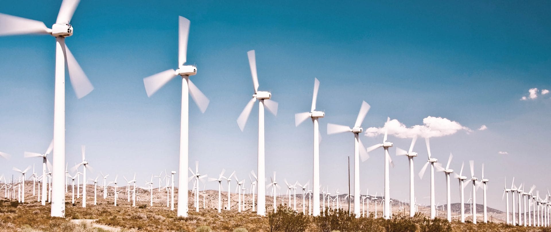 A wind farm